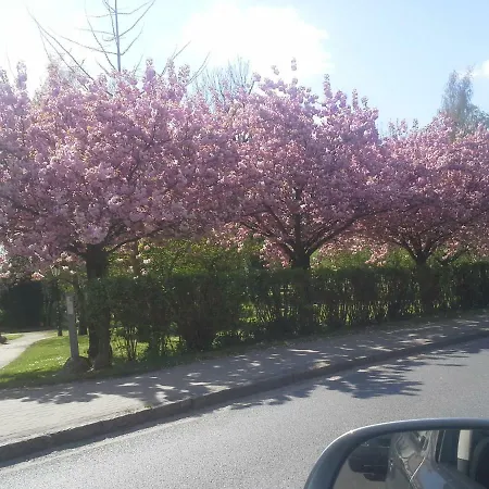 Familie Drescher Radensdorf