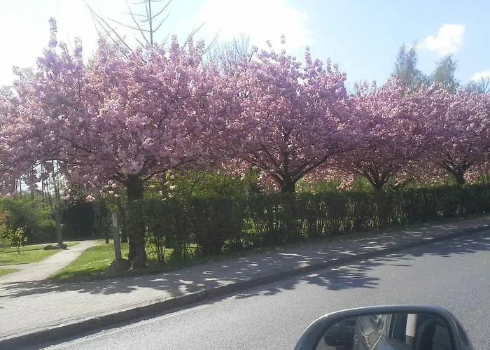 Familie Drescher Radensdorf